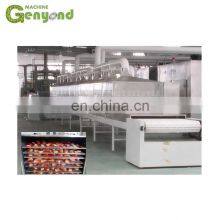 Hot Sale Fruit Drying Line for Dehydrated Fruit