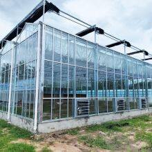 AR Coated Greenhouse Glass for Enhanced Thermal Insulation in Cold Climates thumbnail-1