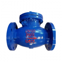 DIN Ductile Iron GGG40 Swing Check Valve Pn16 CI Soft Seat Check Valve Lift Check Valve thumbnail-2