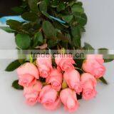 Colorful Diana fresh roses decoration