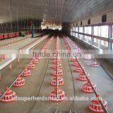 Automatic Feed Equipment