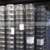 3/4"X3/4" Galvanized Welded Wire Mesh