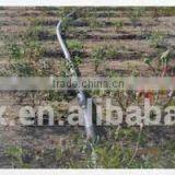 HDPE Pipe for Farm Agricultural Irrigation/PE100 PE80 Tube for Sale thumbnail-1