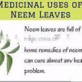 Neem Seed Oil in Expoxy Coated Steel Drums thumbnail-3