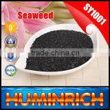 FAQ 29--How To Use Seaweed Fertilizer To Improve The Quality Of Avocado? thumbnail-5