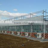 Quarantine Greenhouse thumbnail-1