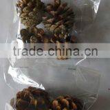 Christmas Ornament Natural Color Pine Cone