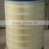High Quality Truck Air Filter 5010305230