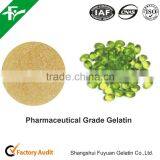China Supply Best Price Medical Gelatin thumbnail-2