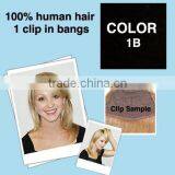 Clip Fixed In Synthetic Hair Bangs-Hair Fringes No420