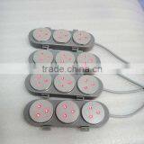 NL-RUV900 Premium Ultrasonic Weight Loss Machine Ultrasonic Cavitation Ultrasonic Cavitation Body Sculpting Slimming Machine Ultrasonic Contour 3 In 1 Slimming Device thumbnail-4