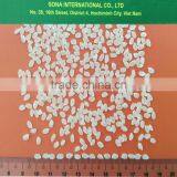 CAMOLINO RICE 5% BROKEN - SUPER QUALITY thumbnail-4