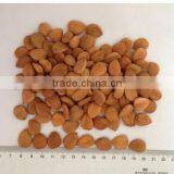 Best Price Common Bitter Apricot Kernel thumbnail-5