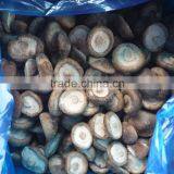 Frozen Mushroom thumbnail-1