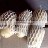 Fresh Holland Potato thumbnail-1