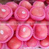 Hot Sale Chinese Fuji Apple thumbnail-4