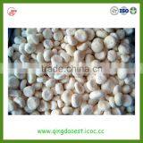 Hebei Hot Sale Frozen Peeled Chestnut thumbnail-1
