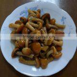 Dalian Global Link Trading Co., Ltd. company overview - view 4 thumbnail