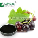 Manufacturer sales Chinese herbal extract healthy Black Currant Ribes nigrum Powder Extract with Anthocyanidins 25%by UV