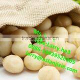 Australian Nut Desheller/Australian Nut Sheller/Australian Nut Deshelling Machine thumbnail-4