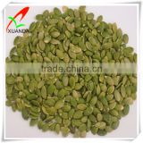 pumpkin seed kernels with best price
