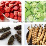 JK-FD-20N Vacuum Food Freeze Dryer Fruit Apply Berry Freezer Dryer thumbnail-1