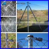 Chain Link Fence Gate/ Black Poly Chain Link Fence Extensions for Dogs thumbnail-4