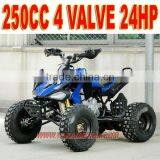 24HP 4 Valve 250cc 4 Wheeler ATV thumbnail-1