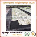 No Need Fertilizer Save Soil Green Planting Hydroponic Foam Odorless Growing Sponge thumbnail-6
