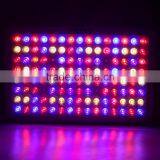 Advanced GS Series 300W 9 Band Led Grow Light Dual Veg/flower Full Spectrum thumbnail-2