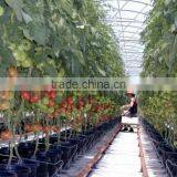 300W LED Grow Light Plant Greenhouse Lights Full Specturm Hydroponic Garden Indoor Flowering thumbnail-6