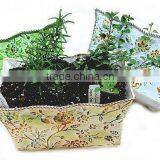 Colorful Kitchen Herb Planter Kit, Long Seed Planters thumbnail-1