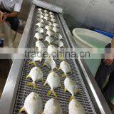 Silver Pomfret Fish thumbnail-2