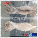 Frozen IQF Pacific Squid Tube u5 thumbnail-5