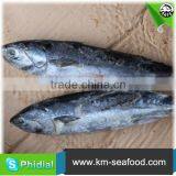 Carton or Woven Bag Packed Without Faure Marin China Manufacturer Bonito thumbnail-5