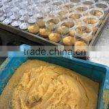 Home Water Purifier Machine thumbnail-4