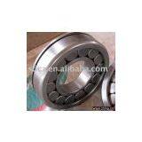 SL Cylindrical Roller Bearings thumbnail-1