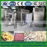 Energy Saving Cryogenic Frozen Cabinet With Competitive Price thumbnail-3