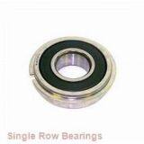 Single Row Bearings