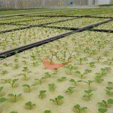 Single Span Greenhouse Multi Span Greenhouse Glass Greenhouse PC Board Greenhouse Hydroponic Sponge Hydroponic System thumbnail-3