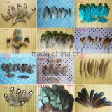 wholesale diy feather decorative craft feather