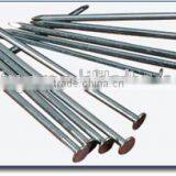 Polished Common Wire Nails