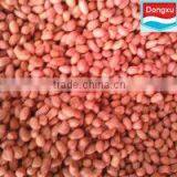 Import Export Peanut