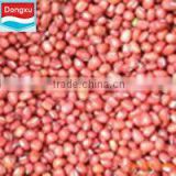 bulk red peanuts for sale