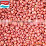 Bulk Red Peanuts for Sale