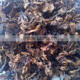 Dried Moringa Flower, Jasmine Flower, Vertiver Root and Masoia Bark at Good Price and Quality thumbnail-1
