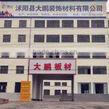 Shuyang Dapeng Decoration Materials Co., Ltd. company overview - view 1 thumbnail