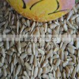 Bakery Sunflower Kernels no Shell Edible Directly thumbnail-2