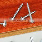 Truss Head Screw
