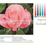 210 Micron Inkjet Waterproof PET Frontlit Film thumbnail-1